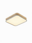 Virendre Deux | Ceiling Mounted Light