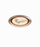 Rivenaer | Ceiling Mounted Light