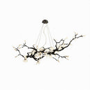 Dravus | Chandelier