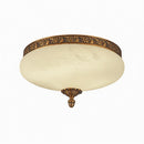 Silvareon | Ceiling Mounted Light