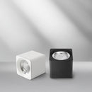 Syrenloriae | Surface Mounted Light