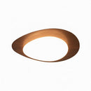 Trelisun | Ceiling Mounted Light