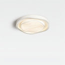 Lusniak | Ceiling Mounted Light