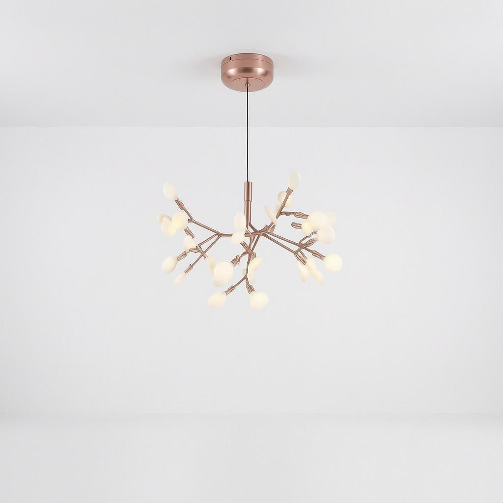 Cerantia | Chandelier