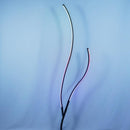 Daelora Une | Floor Lamp