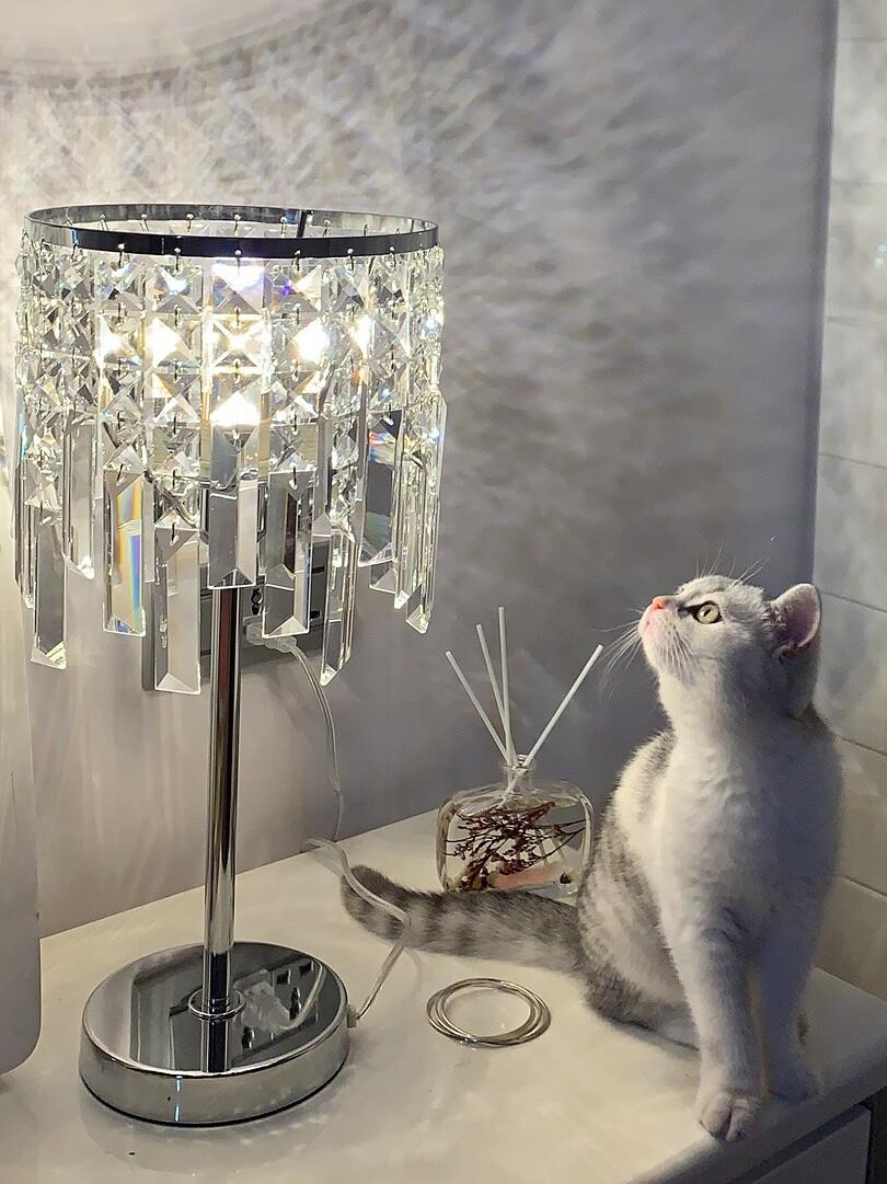 Aerivon | Table Lamp