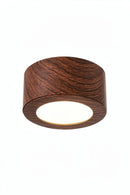 Harlavisse Deux | Surface Mounted Light