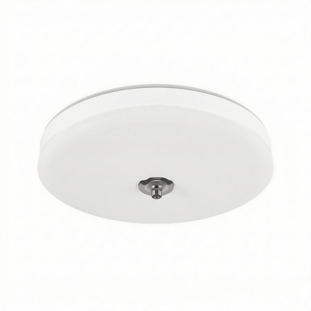 Ceris | Flush Mounted Ceiling Light
