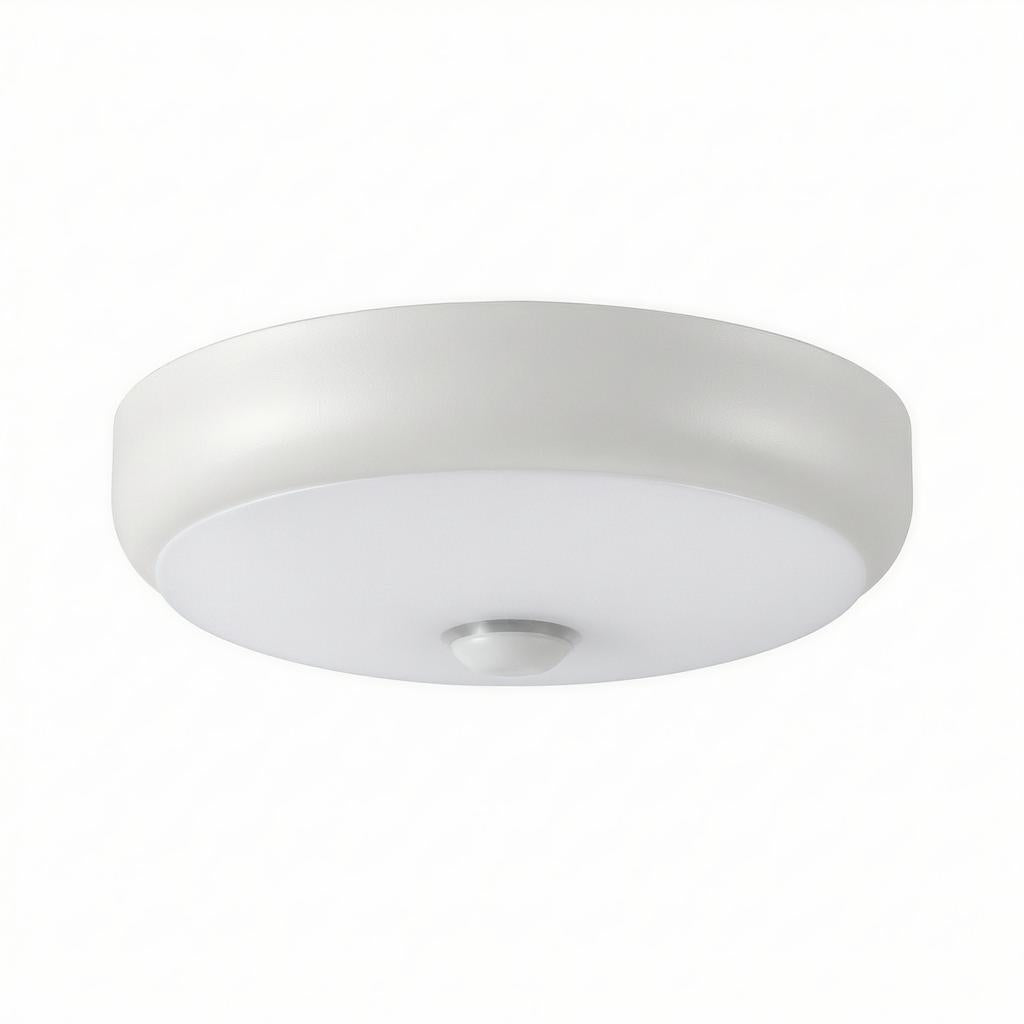 Caliento | Flush Mounted Ceiling Light