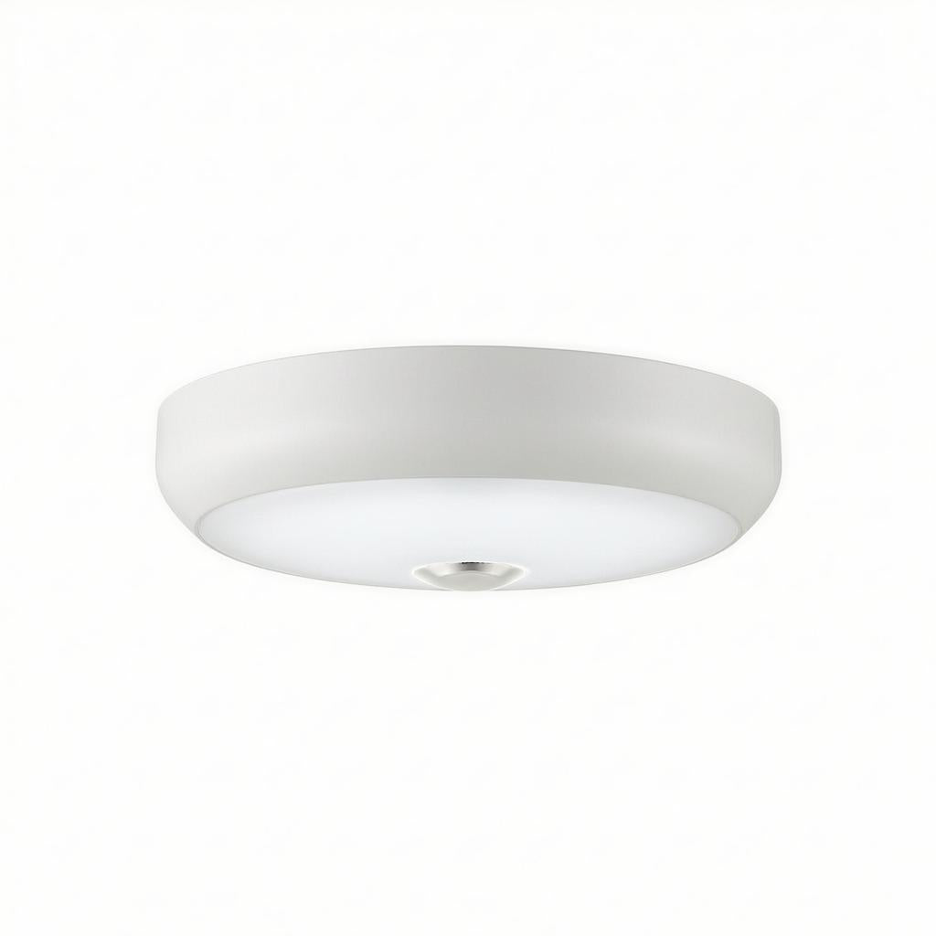 Caliento | Flush Mounted Ceiling Light