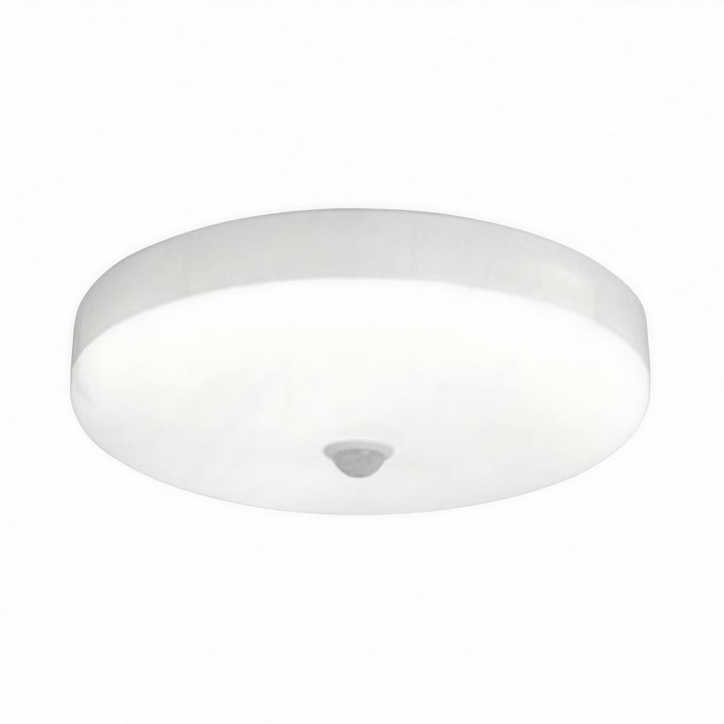 Caliento | Flush Mounted Ceiling Light