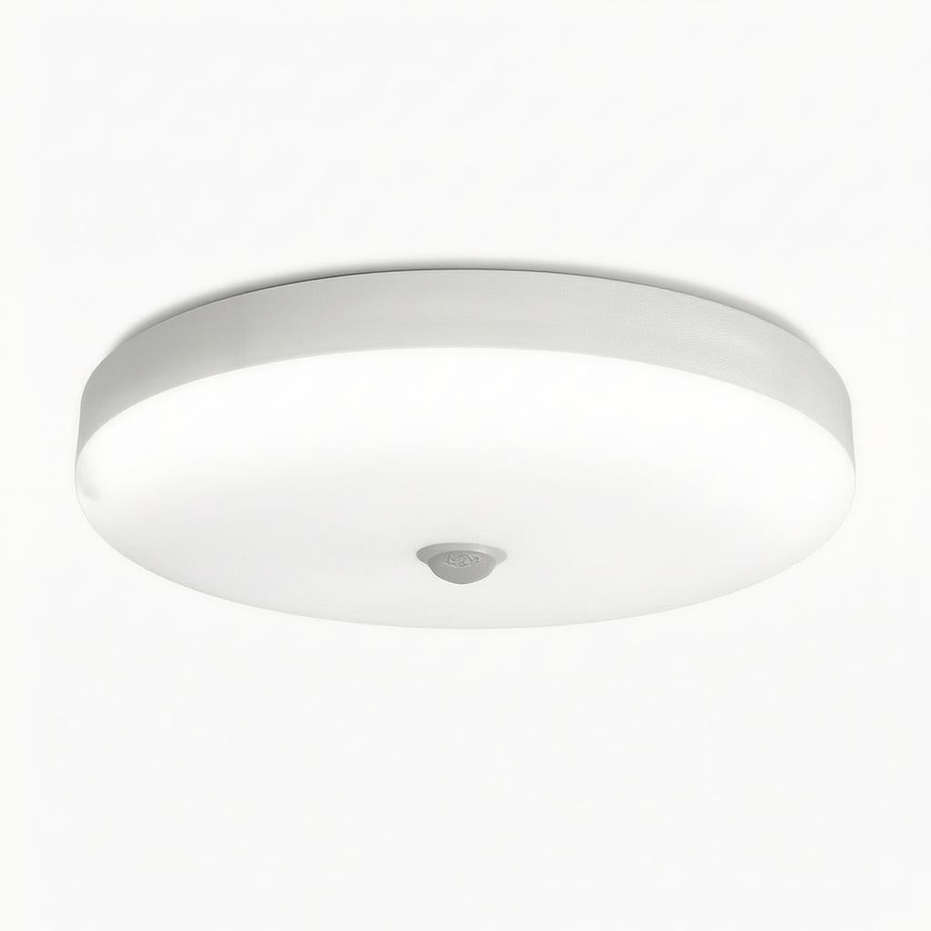 Caliento | Flush Mounted Ceiling Light