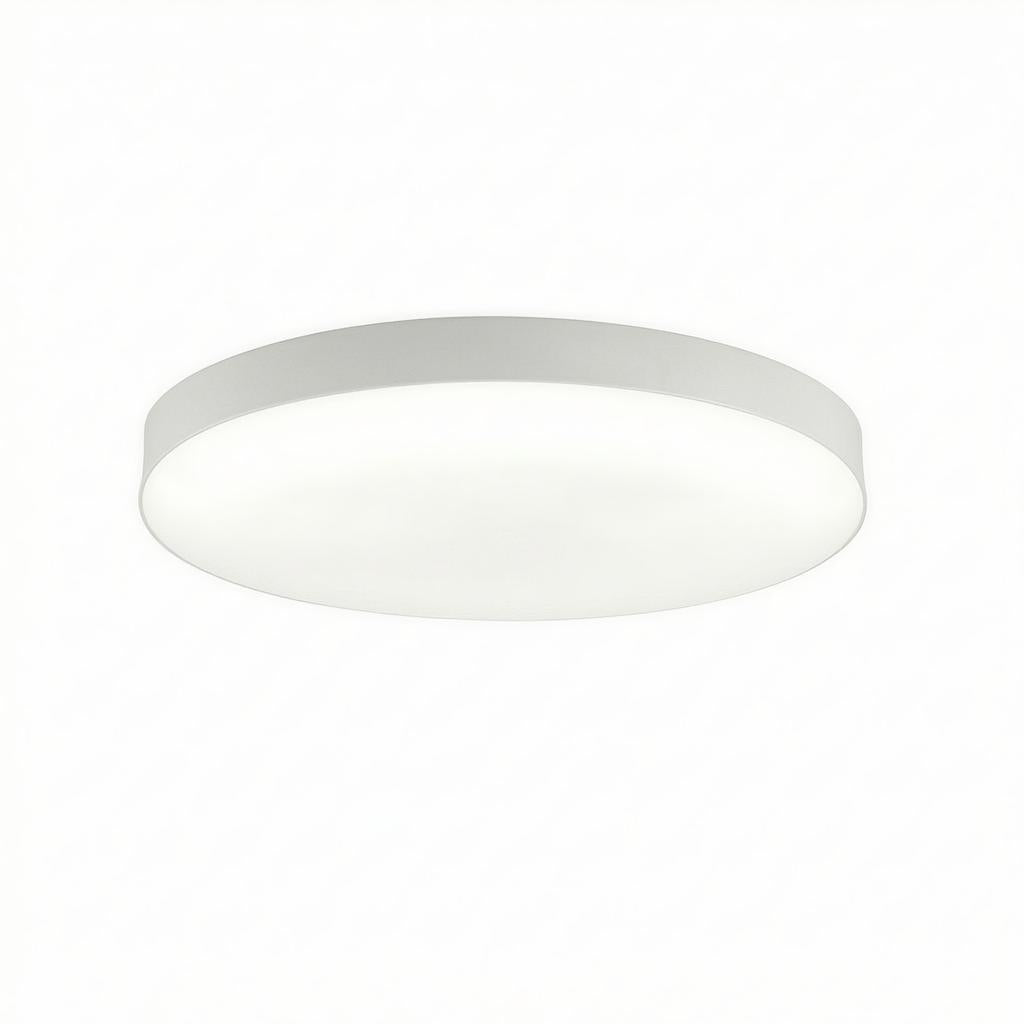 Caliento | Flush Mounted Ceiling Light