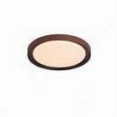 Ireniel | Ceiling Mounted Light