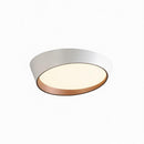 Rienzi | Ceiling Mounted Light