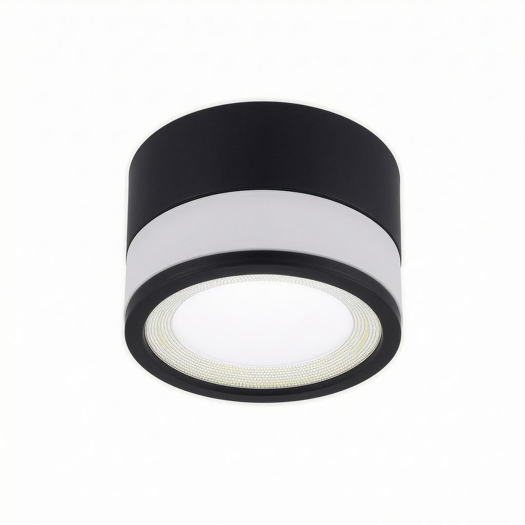 Casselton | Flush Mounted Ceiling Light