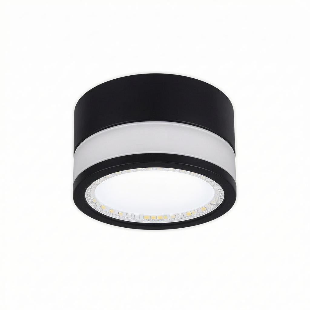 Casselton | Flush Mounted Ceiling Light