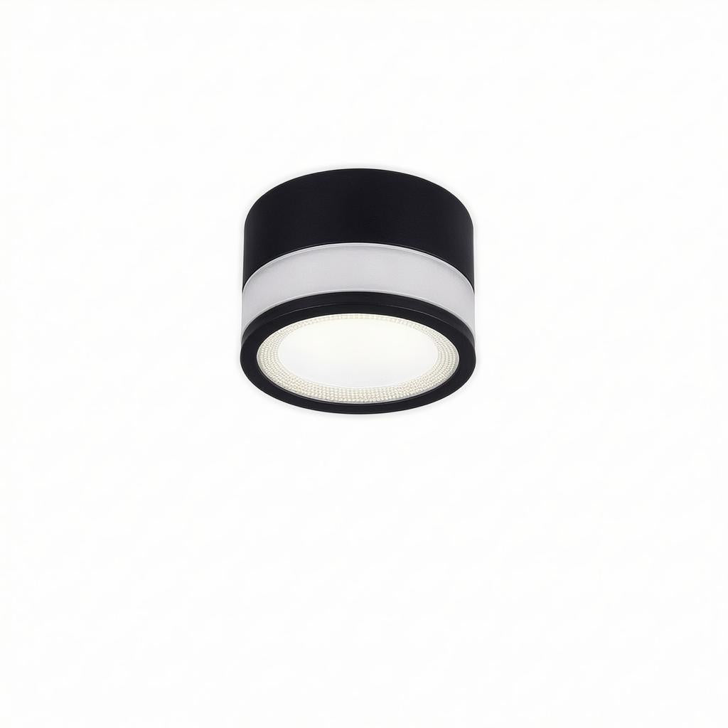 Casselton | Flush Mounted Ceiling Light