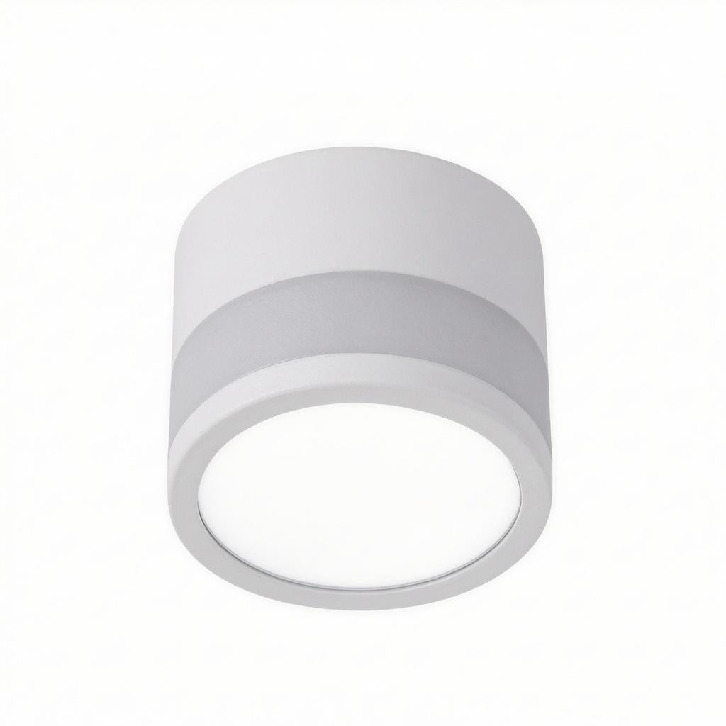 Casselton | Flush Mounted Ceiling Light