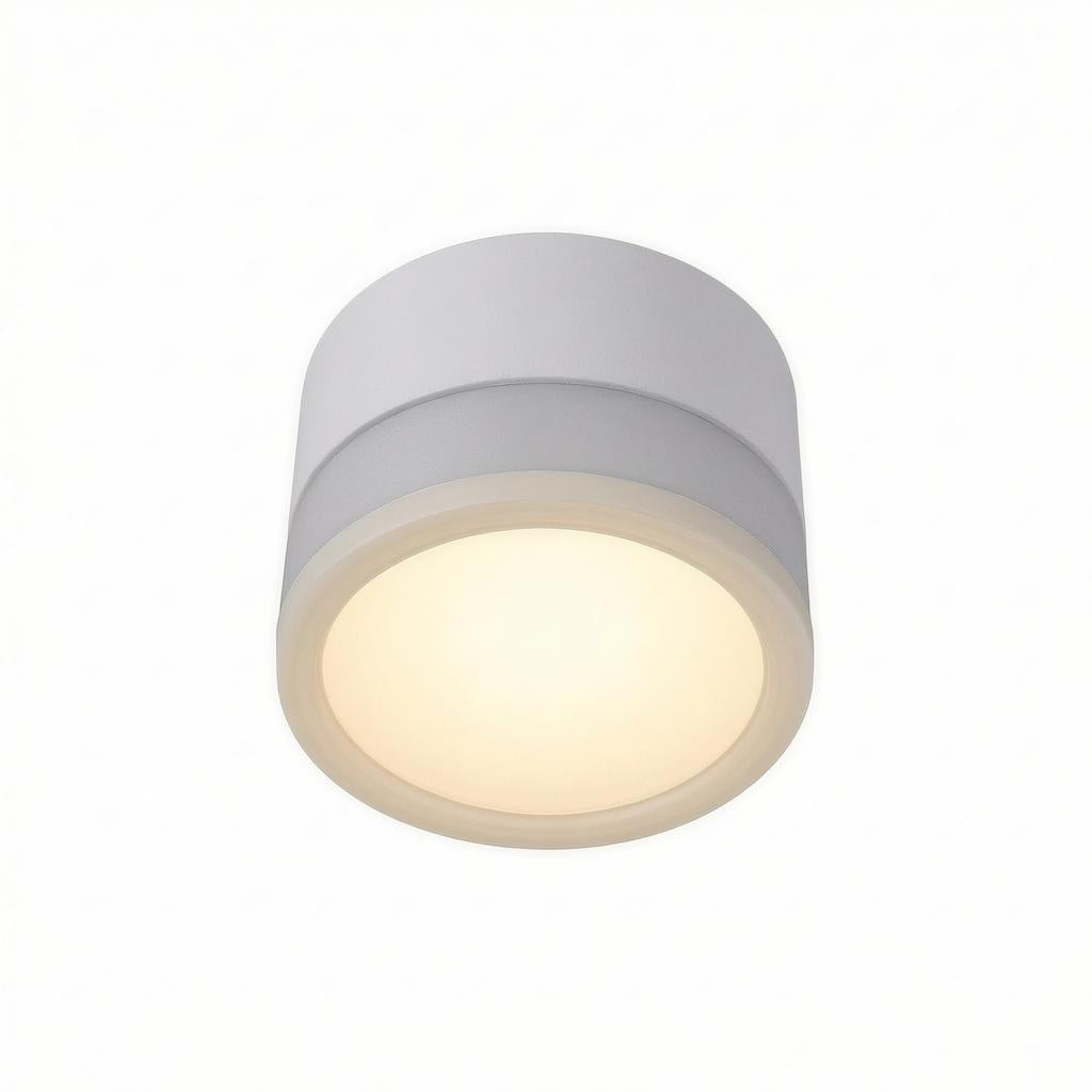 Casselton | Flush Mounted Ceiling Light