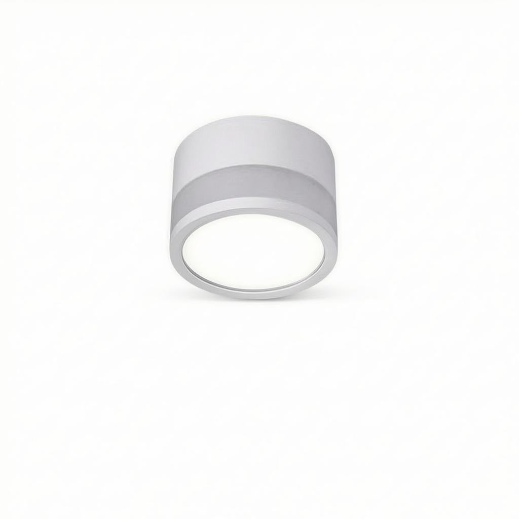 Casselton | Flush Mounted Ceiling Light
