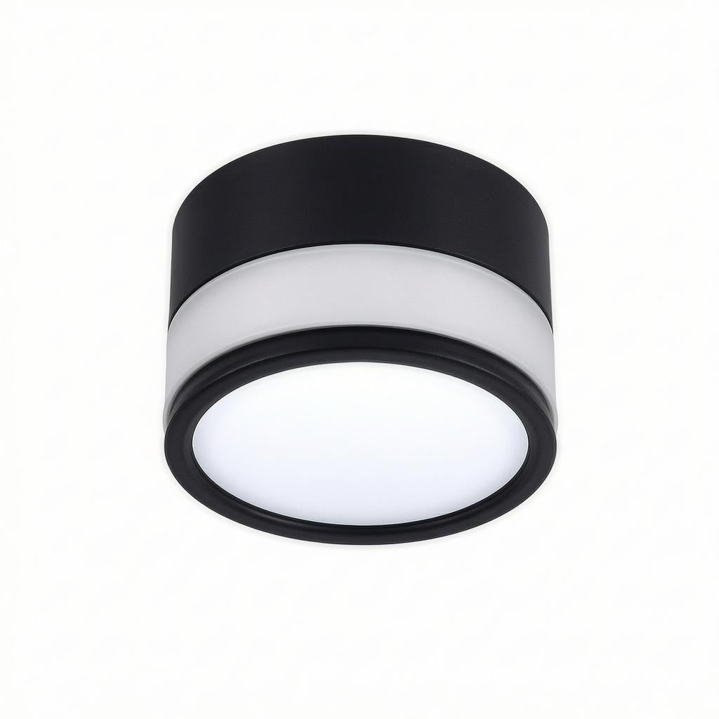 Casselton | Flush Mounted Ceiling Light