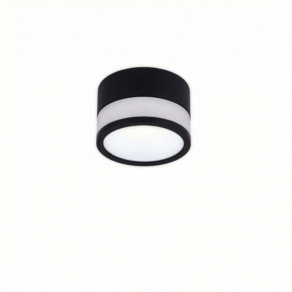 Casselton | Flush Mounted Ceiling Light