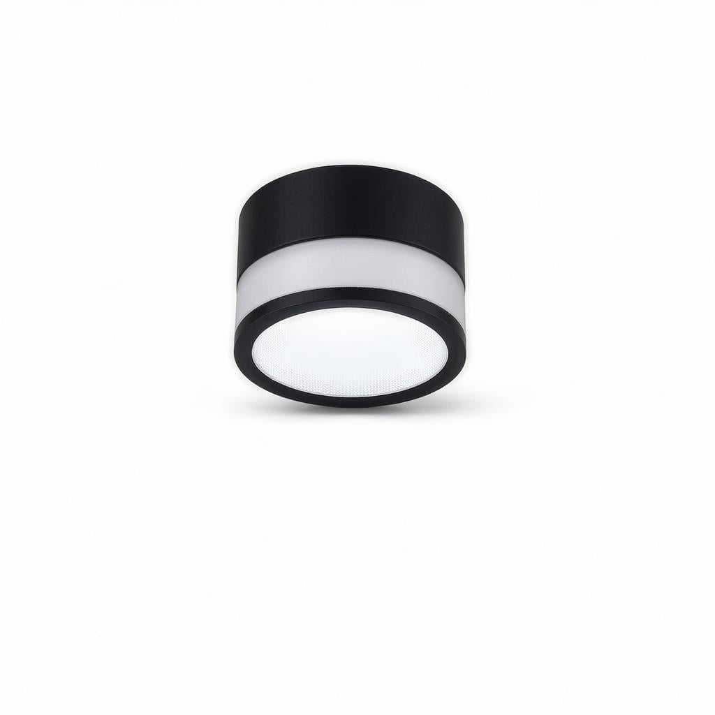 Casselton | Flush Mounted Ceiling Light