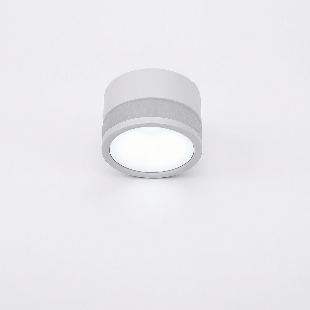 Casselton | Flush Mounted Ceiling Light