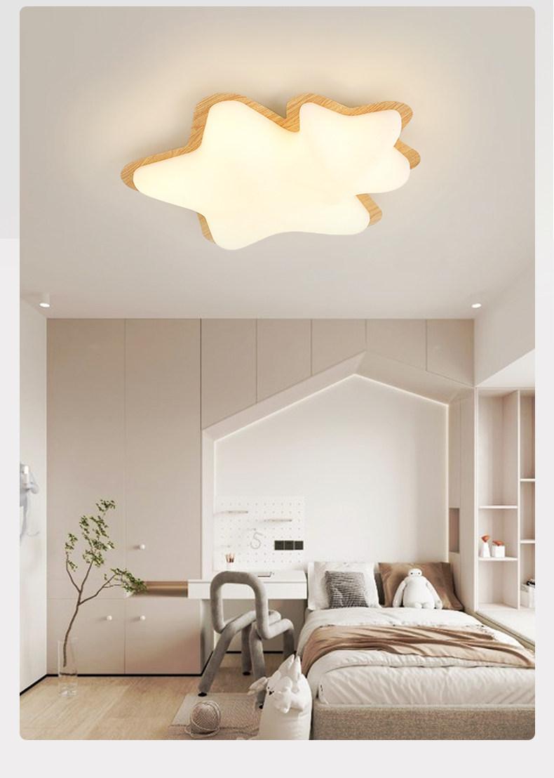 Duvallier | Flush Mounted Ceiling Light