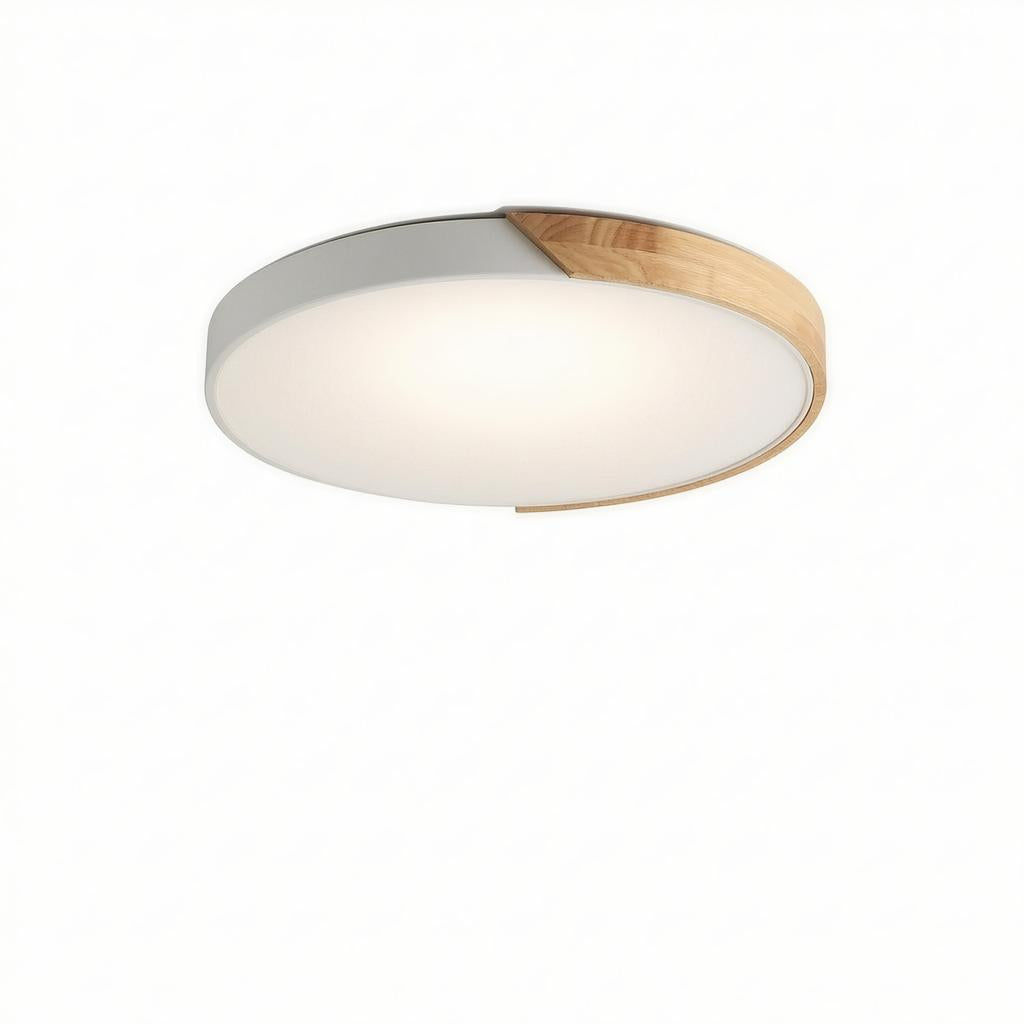 Falken | Flush Mounted Ceiling Light