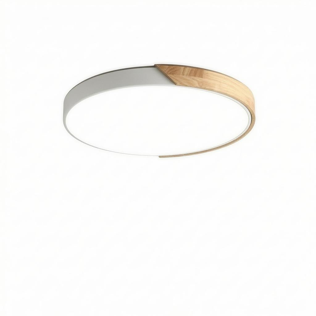 Falken | Flush Mounted Ceiling Light