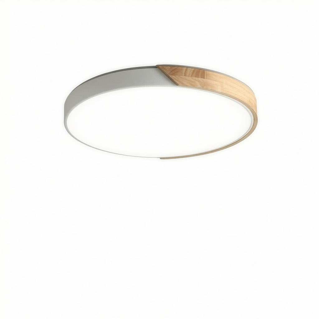 Falken | Flush Mounted Ceiling Light