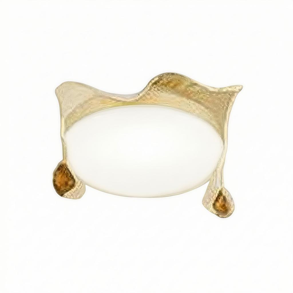 Novare | Flush Mounted Ceiling Light