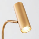 Elaneth C | Integrated Shelf Floor Lamp