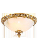 Tarnelara | Ceiling Mounted Light