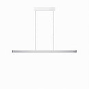 Gurian B | Linear Chandelier