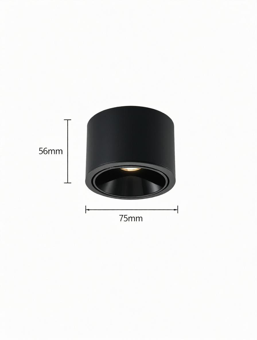 Jonvaleriae | Surface Mounted Light