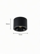 Jonvaleriae | Surface Mounted Light