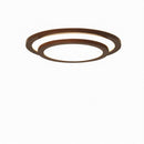 Polizzo | Ceiling Mounted Light