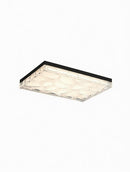 Carnie | Ceiling Mounted Light