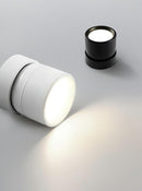 Jorvenithae | Surface Mounted Light