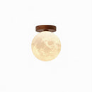 Calenwe | Semi Flush Mounted Light