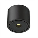 Ysolenyae Deux | Surface Mounted Light