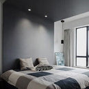 Reagan | Trimless Downlight