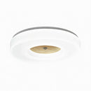 Lirianne | Ceiling Mounted Light