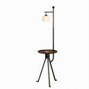 Wrelisyn | Integrated Shelf Floor Lamp