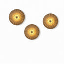 Lison | Rattan Wall Light