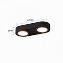 Aelindri | Surface Mounted Light