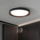 Blunden | Ceiling Mounted Light